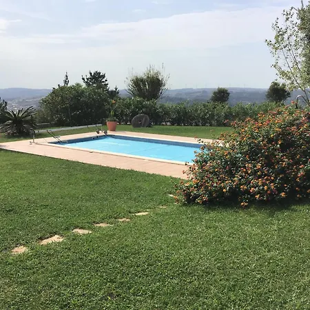 The Garden